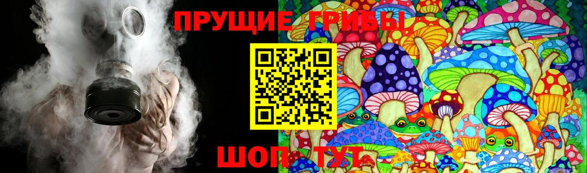 Галлюциногенные грибы прущие грибы  Вход с VPN  Ачхой-Мартан 